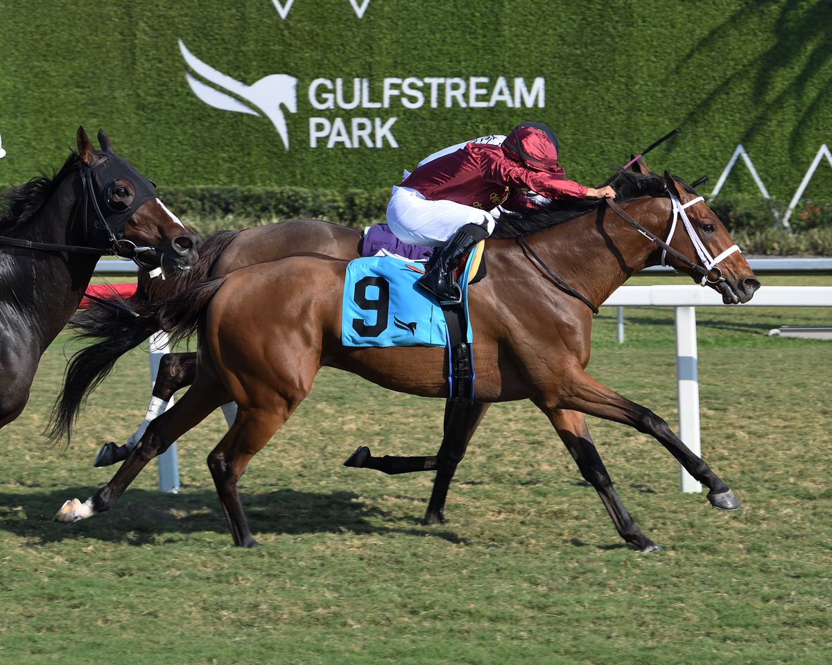 Equibase (@equibase) on Twitter photo Good Morning and Happy Saturday! ☕️🏇
The trainer with the most wins across North America yesterday was <a href="/JFDAngelo/">Jose F D'Angelo</a>, with 4 wins <a href="/GulfstreamPark/">Gulfstream Park</a>!!
He won races 1,3,4 and 5 at GP, extending his career-best year with 137 wins, 132 second-place finishes, and 103 third-place Good Morning and Happy Saturday! ☕️🏇
The trainer with the most wins across North America yesterday was <a href="/JFDAngelo/">Jose F D'Angelo</a>, with 4 wins <a href="/GulfstreamPark/">Gulfstream Park</a>!!
He won races 1,3,4 and 5 at GP, extending his career-best year with 137 wins, 132 second-place finishes, and 103 third-place
