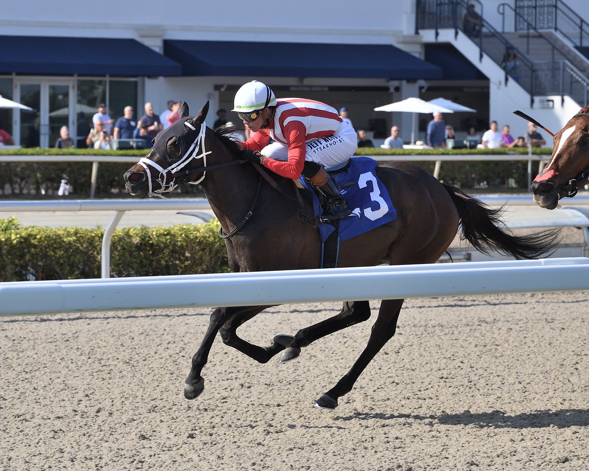 Equibase tweet media