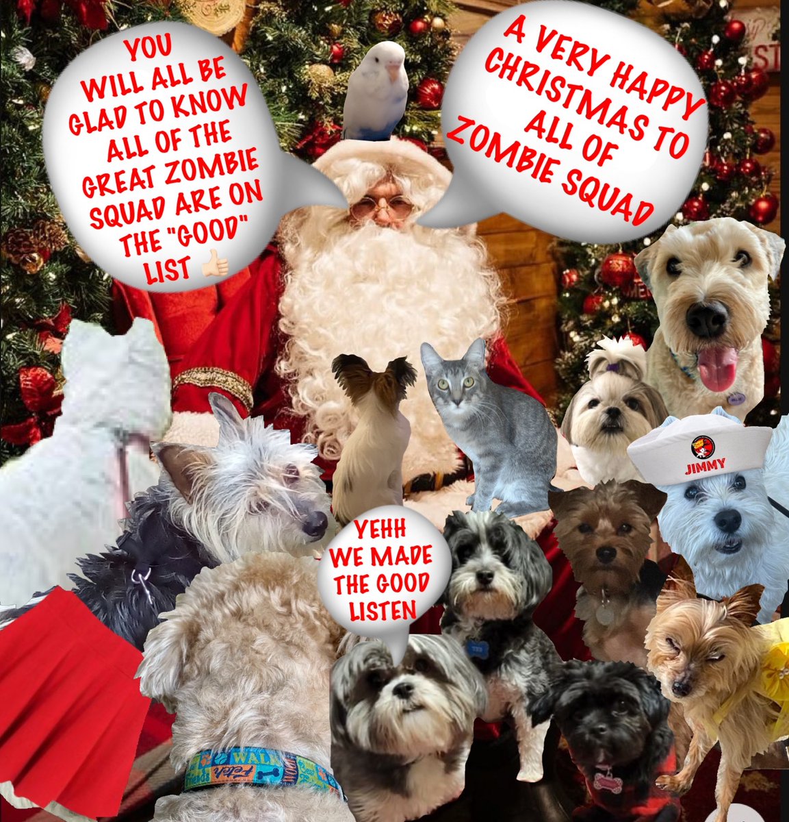 22 #zzst #zshq🧑🏽‍🎄🎅🏽🧑🏽‍🎄🎅🏽🧑🏽‍🎄🎅🏽🧑🏽‍🎄🎅🏽🧑🏽‍🎄🎅🏽

OH GOODNESS NOW WE GGETT TO SEE SANTA AND TELL HIM ALL WE WANT HIM TO BRING US ON CHRISTMAS EVE.....

SANTA- MY REQUEST IS FOR A NICE NEW LEAD..... I HAVE NEARLY CHEWED THROUGH MY ORESENT ONE...,