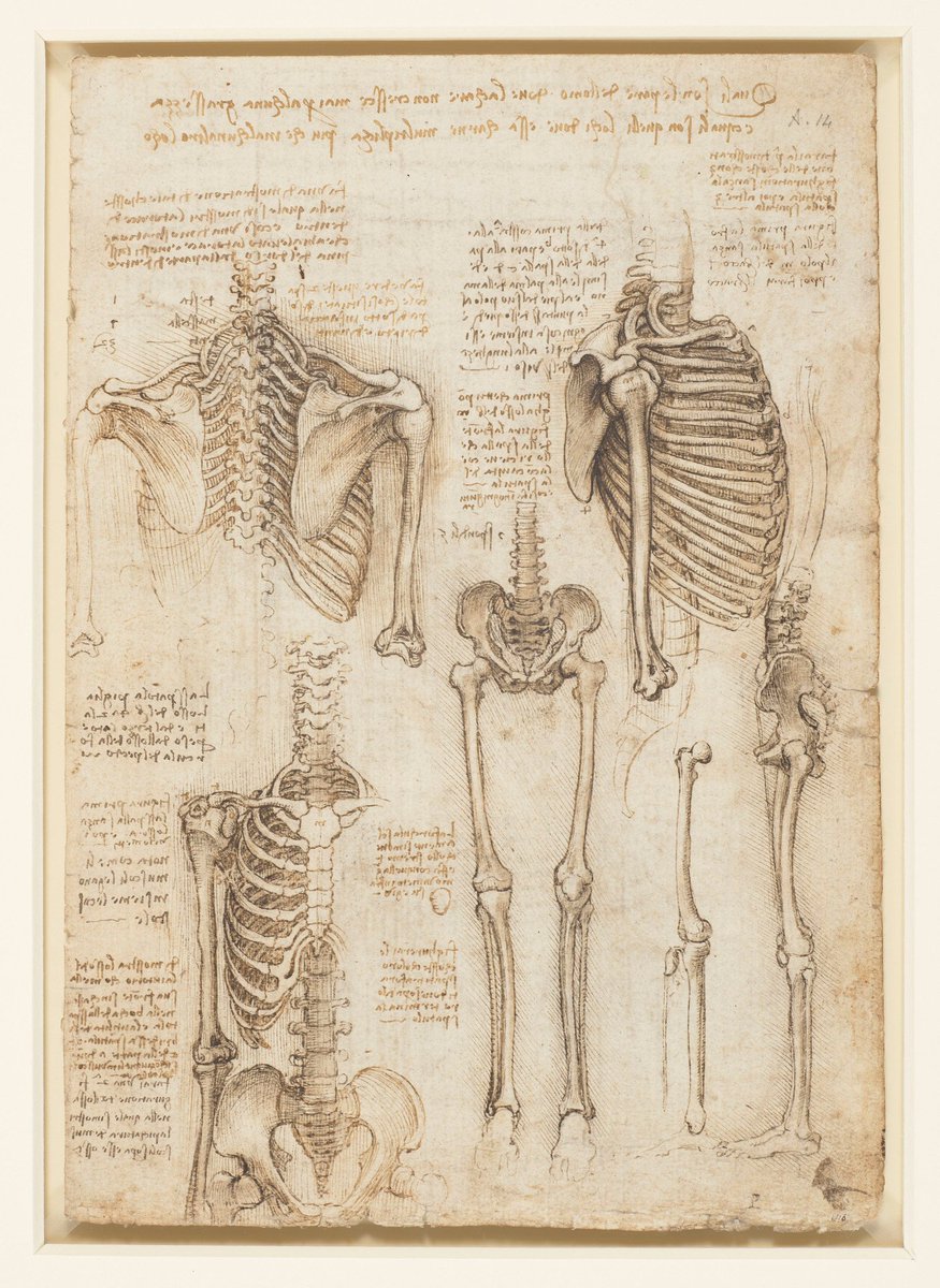 Leonardo da Vinci's anatomical sketches are masterful pieces of art.