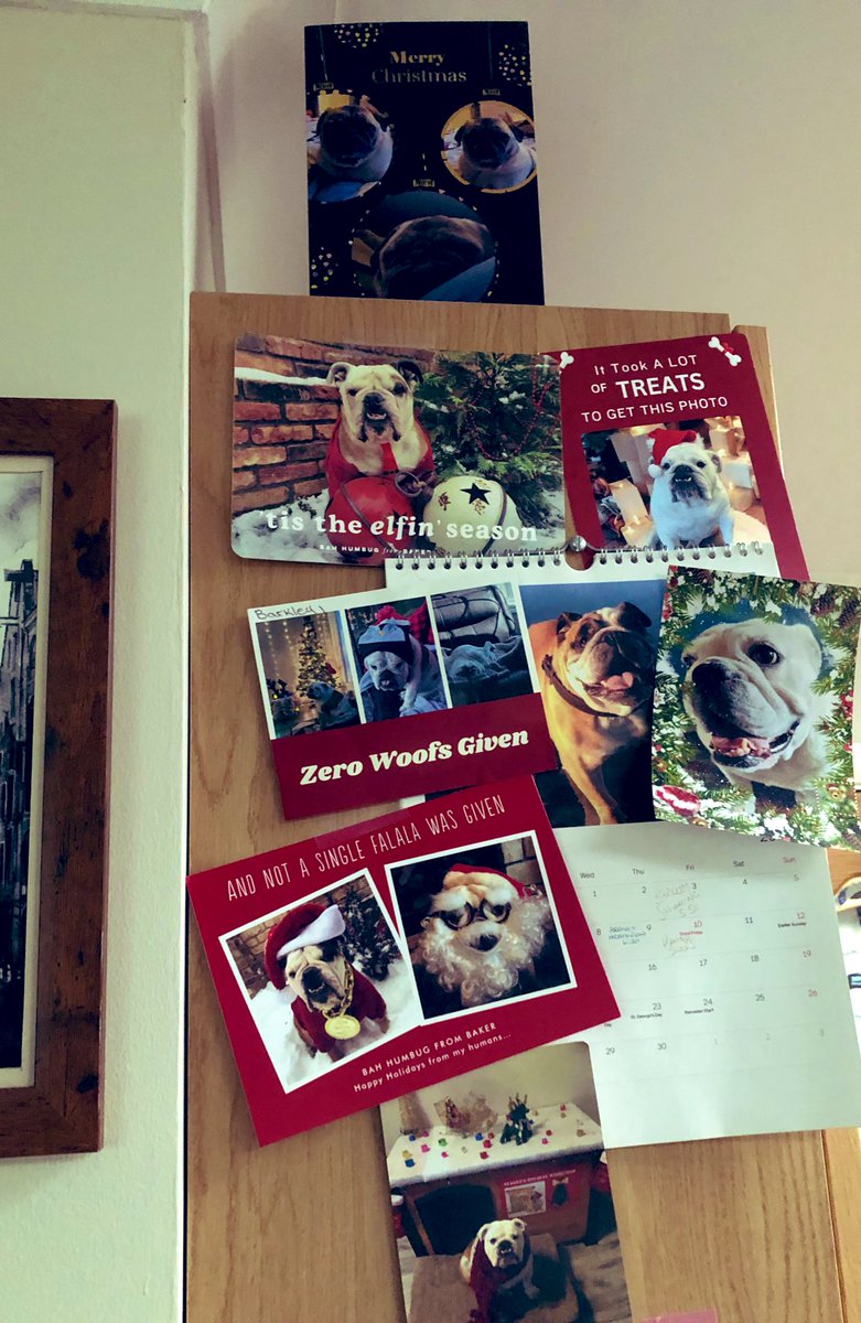 Baker &amp; Frankie have arrived for Christmas!! ❤️😍 <a href="/Lil_Fen/">Baker</a> <a href="/TheBowers78/">Lisa B</a> Thank you guys 🤗❤️