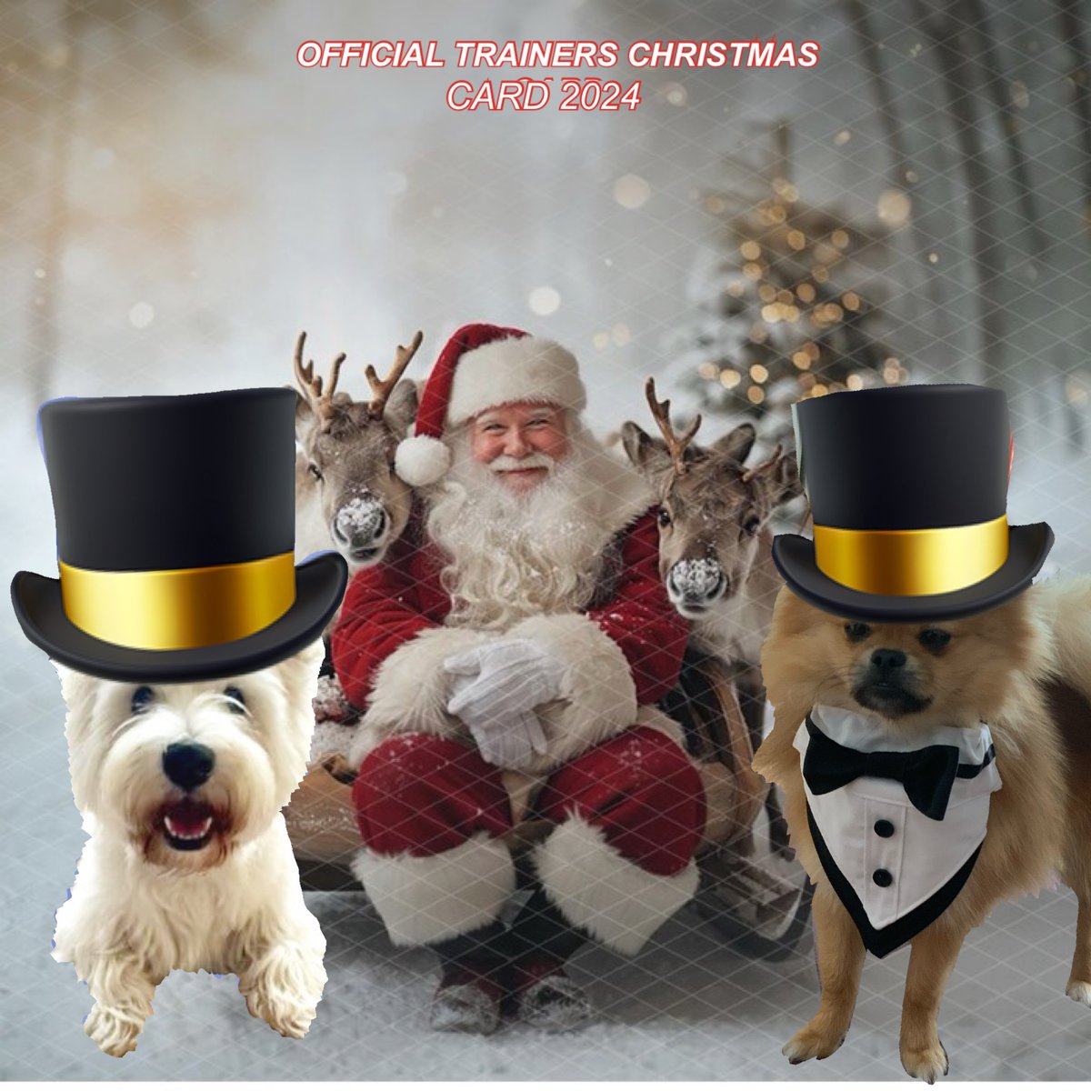 23 #zzst #zshq 🎅🏽🧑🏽‍🎄🎅🏽🧑🏽‍🎄🎅🏽🧑🏽‍🎄🎅🏽🧑🏽‍🎄🎅🏽🧑🏽‍🎄

SIR FINLAY OF THE GREAT ZOMBIE SQUAD &amp; GEN. BAZZ WANT TO WISH EVERY SINGLE MEMBER OF THHE FABULOUS ZOMBIE SQUAD A HEALTH AND HAPPY CHRISTMAS  XXXXX

AND THANK YOU ALL FOR MAKING 'TRAINING SO FABBY.