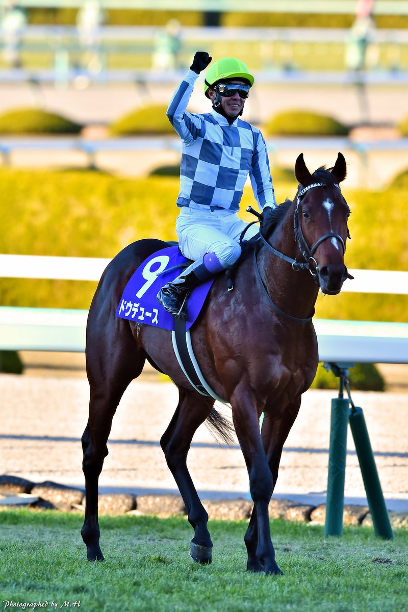 ポメラートdodo馬 Horse Memorys (@horse_memorys) / X