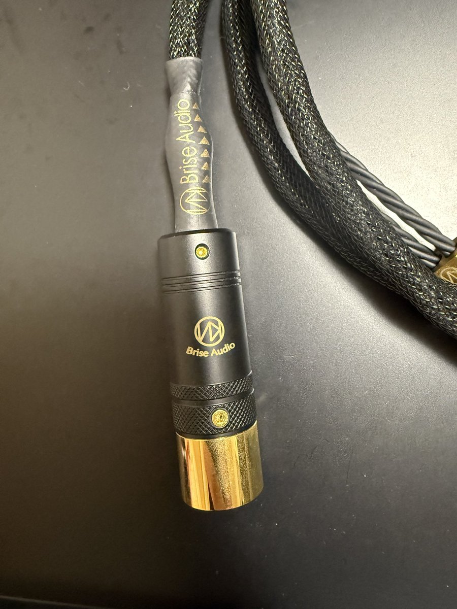 PW Audio Attila Shielding 溜まら Cable 中古品