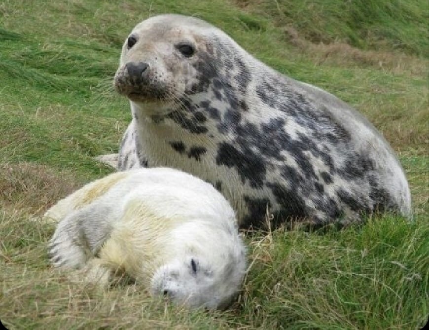 SealYamamura's tweet image. no one deserves to be hurt nor suffer