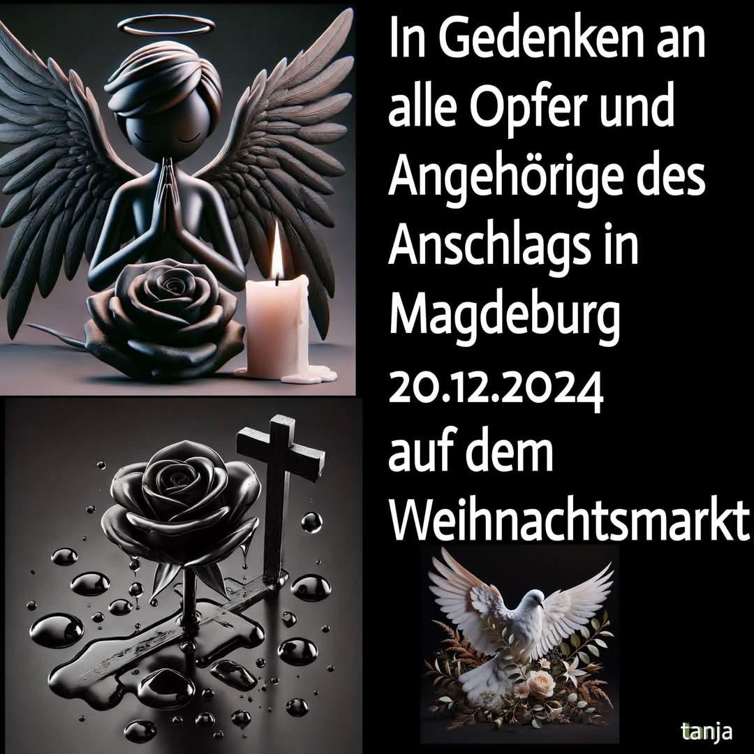 Jenny Holtorf (@jen67907) on Twitter photo 