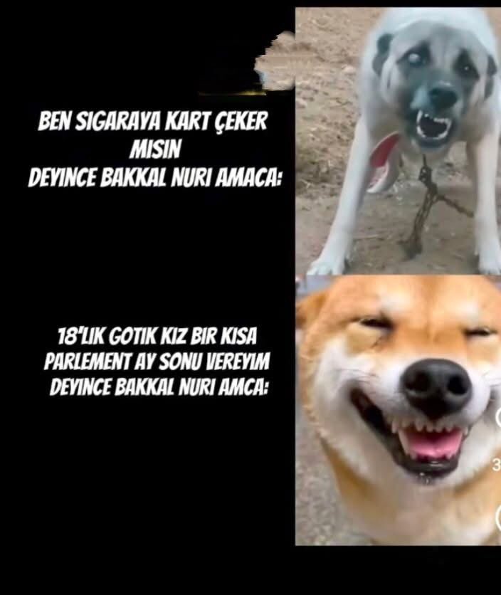 Turkish Memess (@memessturca) on Twitter photo 