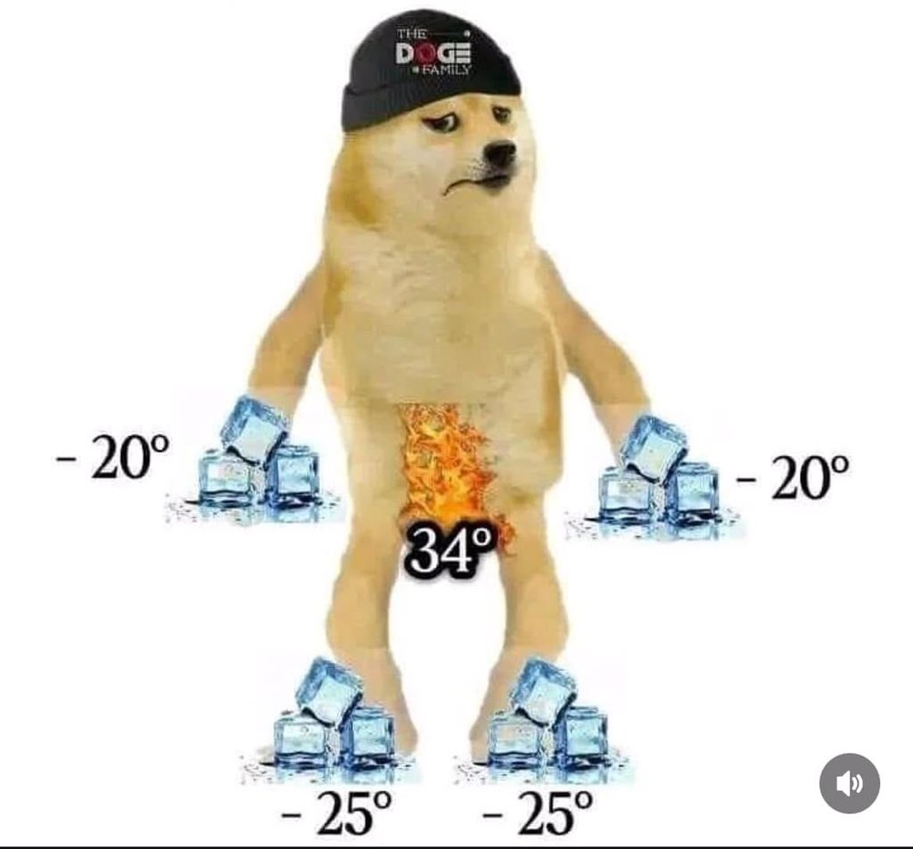 Turkish Memess (@memessturca) on Twitter photo 