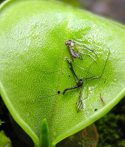 Amazing Facts tweet media