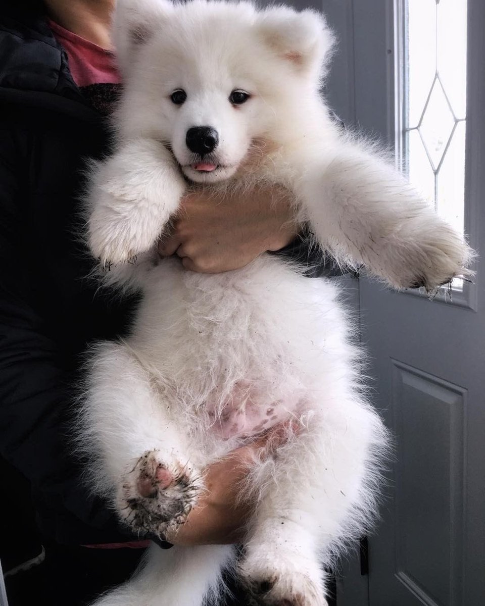 อุ้มอุ้ม 🐶🤏🏻