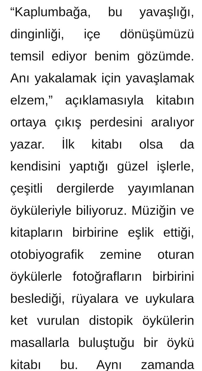 Ümit Aykut Aktaş🐢🦀😼🌈 tweet media