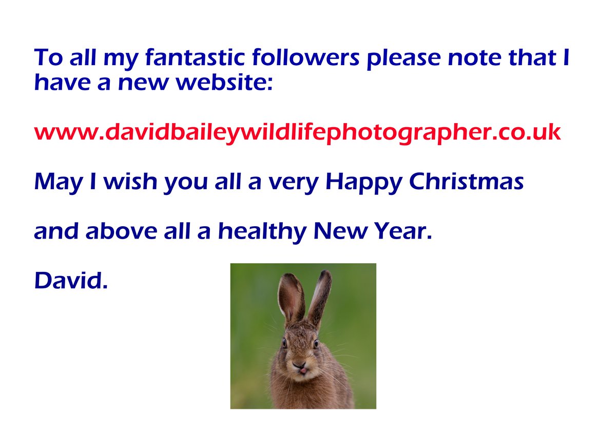 David Bailey (@davidbaileywild) on Twitter photo Happy Christmas to you all X <a href="/vickimichelle/">Vicki Michelle MBE π</a> <a href="/PeterEgan6/">Peter Egan</a> <a href="/marcthevet/">Marc Abraham OBE</a> <a href="/CBTHunting/">Campaign to Ban Trophy Hunting</a> <a href="/APPGTrophyHunt/">APPG on Banning Trophy Hunting</a> <a href="/Welshsquirrels/">Dr Craig Shuttleworth</a> <a href="/JaneGoodallInst/">Dr. Jane Goodall & the Jane Goodall Institute</a> <a href="/TEC_Kimmeridge/">The Etches Collection</a> <a href="/lesley_nicol/">Lesley Nicol π</a> <a href="/springmeister/">jenny seagrove πππ</a> <a href="/brandlaureate/">The BrandLaureate</a> <a href="/EdGoncalvesCBTH/">Eduardo Goncalves</a> <a href="/PinemartensUK/">Stuart Edmunds</a> <a href="/RanulphF/">Ranulph Fiennes</a> <a href="/newsynicola/">Nicola Goodwin ποΈπΊππββοΈπ</a> <a href="/GaviganGL/">GLGavigan</a> @l Happy Christmas to you all X <a href="/vickimichelle/">Vicki Michelle MBE π</a> <a href="/PeterEgan6/">Peter Egan</a> <a href="/marcthevet/">Marc Abraham OBE</a> <a href="/CBTHunting/">Campaign to Ban Trophy Hunting</a> <a href="/APPGTrophyHunt/">APPG on Banning Trophy Hunting</a> <a href="/Welshsquirrels/">Dr Craig Shuttleworth</a> <a href="/JaneGoodallInst/">Dr. Jane Goodall & the Jane Goodall Institute</a> <a href="/TEC_Kimmeridge/">The Etches Collection</a> <a href="/lesley_nicol/">Lesley Nicol π</a> <a href="/springmeister/">jenny seagrove πππ</a> <a href="/brandlaureate/">The BrandLaureate</a> <a href="/EdGoncalvesCBTH/">Eduardo Goncalves</a> <a href="/PinemartensUK/">Stuart Edmunds</a> <a href="/RanulphF/">Ranulph Fiennes</a> <a href="/newsynicola/">Nicola Goodwin ποΈπΊππββοΈπ</a> <a href="/GaviganGL/">GLGavigan</a> @l