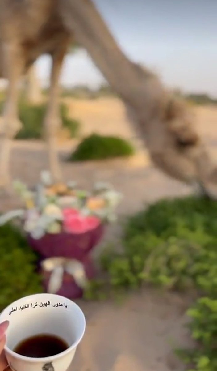 مع أنك كل يوم تمر فـ أحلامي
ولكني عجزت فـ واقعي ألقاك

إذا حبك وهم فـ أنت أصدق أوهامي
إلى اخر يوم في عمري وأنا أتمناك