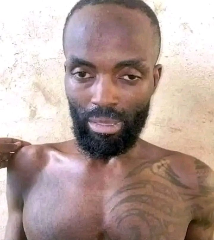 KongoloIlunga's tweet photo. 🖇Les rues peuvent paraître propres, mais ne marchez jamais pieds nus...
Cette histoire ne concerne pas la viande.✔️
The streets may appear clean, but never walk barefoot...
This story is not about meat.✔️
#Fbck
@leParrainRDC @arsene_lejuif https://t.co/tkexJ6B4hx