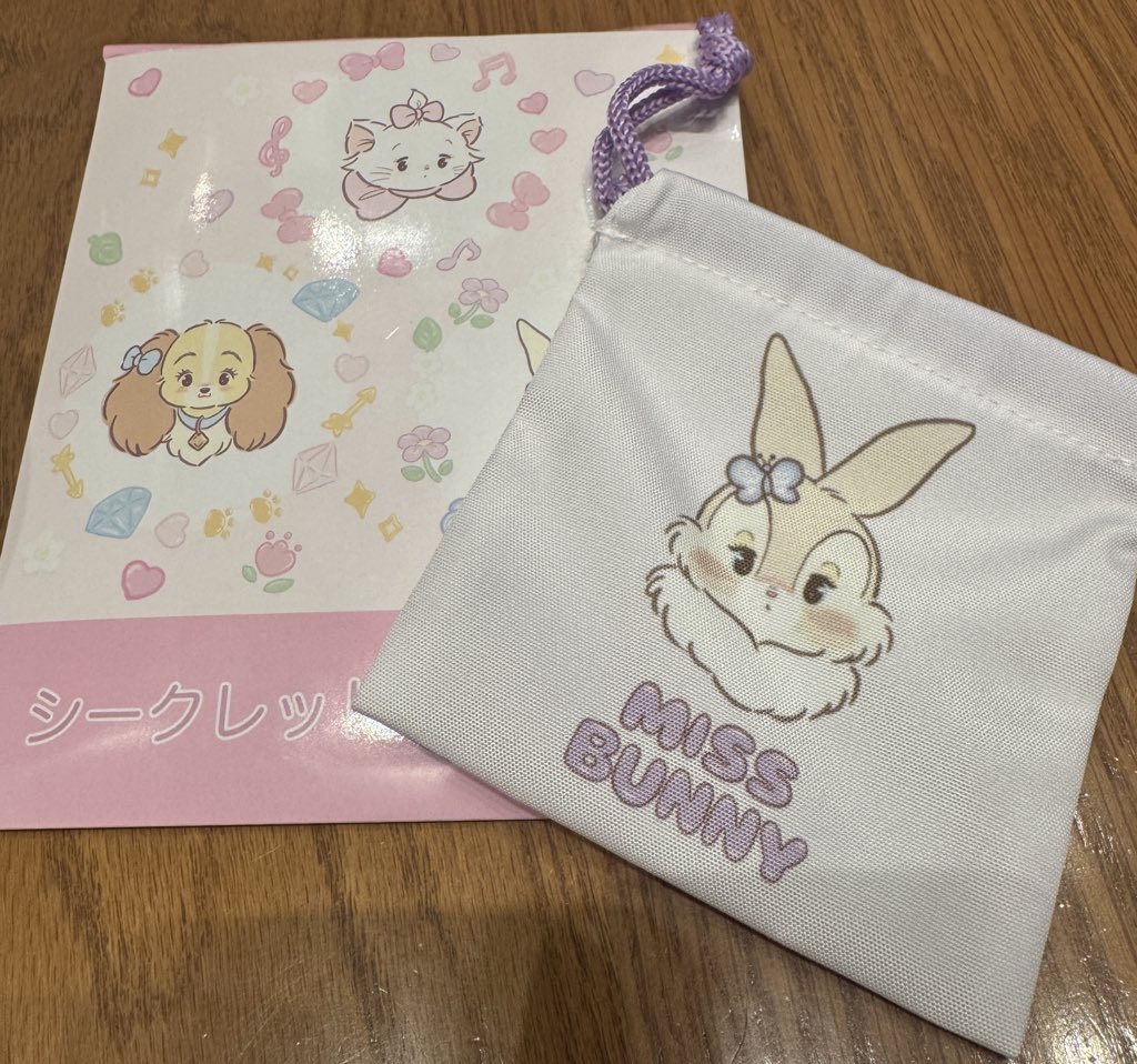 【交換】ディズニー ストア mikko characters 巾着 

譲:ミスバニー 顔

求:マリー 顔 、全身　レディ 顔のどれか

郵送でのお取引希望です💫
検索からでもお気軽にお声掛けください🙇‍♀️
#mikko