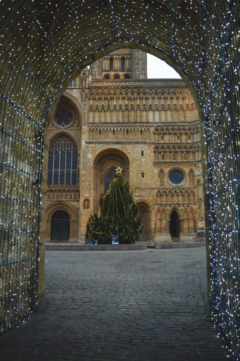 TheLincolnHotel's tweet photo. Name a duo better than the Bailgate and Christmas decorations...... we’ll wait 💁 

#LincolnAtChristmas #BailgateLincoln #FeelingFestive #TwinklyLights #GiantChristmasTree #TheLincolnHotel #Number1Duo #4DaysUntilChristmas https://t.co/dIZxQW2qxk