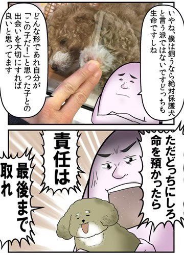 ペットを飼うなら最後まで責任を持てという至極真っ当な話 1/5 
