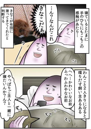 ペットを飼うなら最後まで責任を持てという至極真っ当な話 2/5 