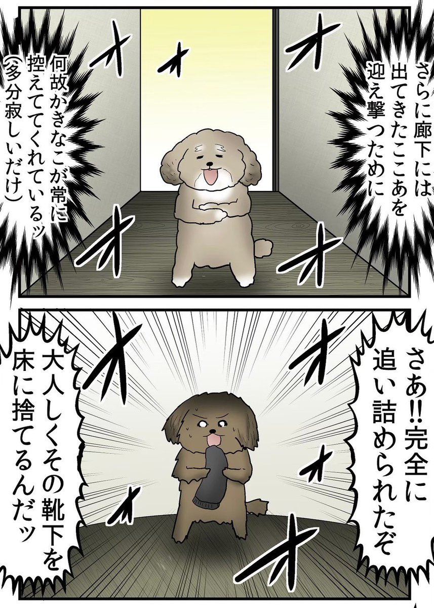 ペットを飼うなら最後まで責任を持てという至極真っ当な話 4/5 
