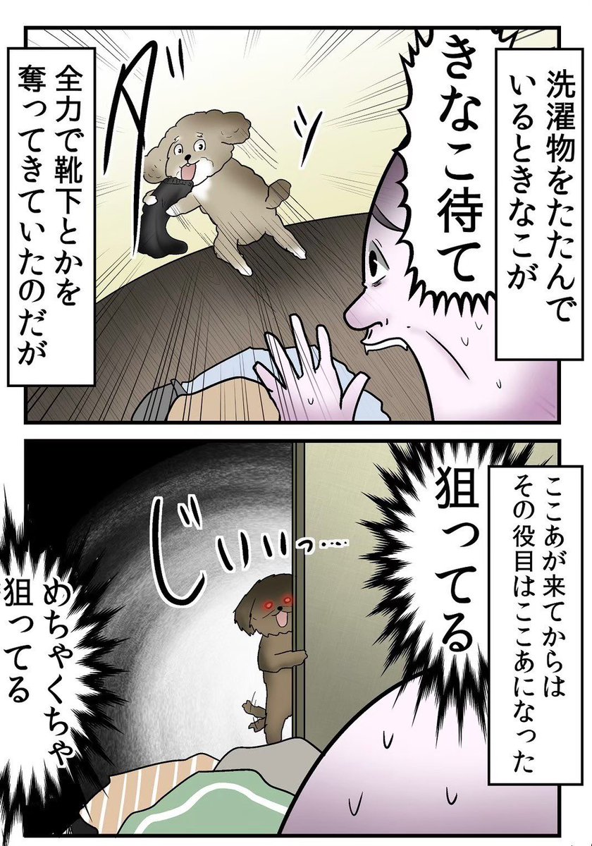 ペットを飼うなら最後まで責任を持てという至極真っ当な話 4/5 