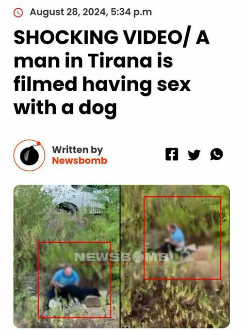 <a href="/BalkanmemesTr/">Balkan Memes</a> Why are they like that???