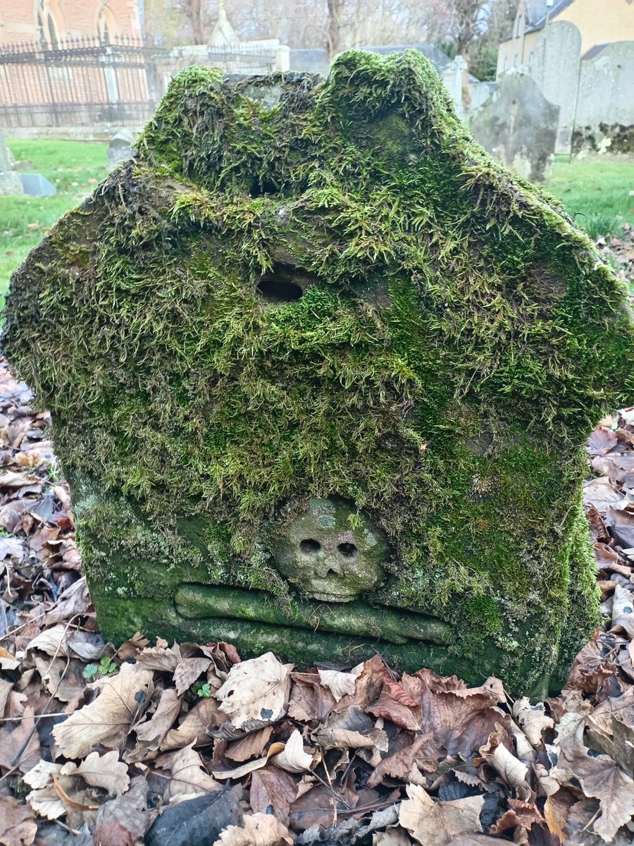 BordersFHS's tweet photo. Visit to Manor kirk #Peeblesshire. Winter sun coming through one of the stained glass windows.  Very healthy moss and lichen on many of the stones.  Lyne, Manor &amp; Megget #MonumentalInscriptions recorded by BordersFHS and available to buy. Contact our sales team via our website https://t.co/nsk2NBSFQD