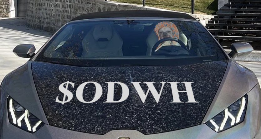 Olddogwifhat's tweet photo. $ODWH is transforming the meme coin narrative! Get ready for value that’ll make you smile!
#SENDR #ODWH https://t.co/9rV1LrkE4l