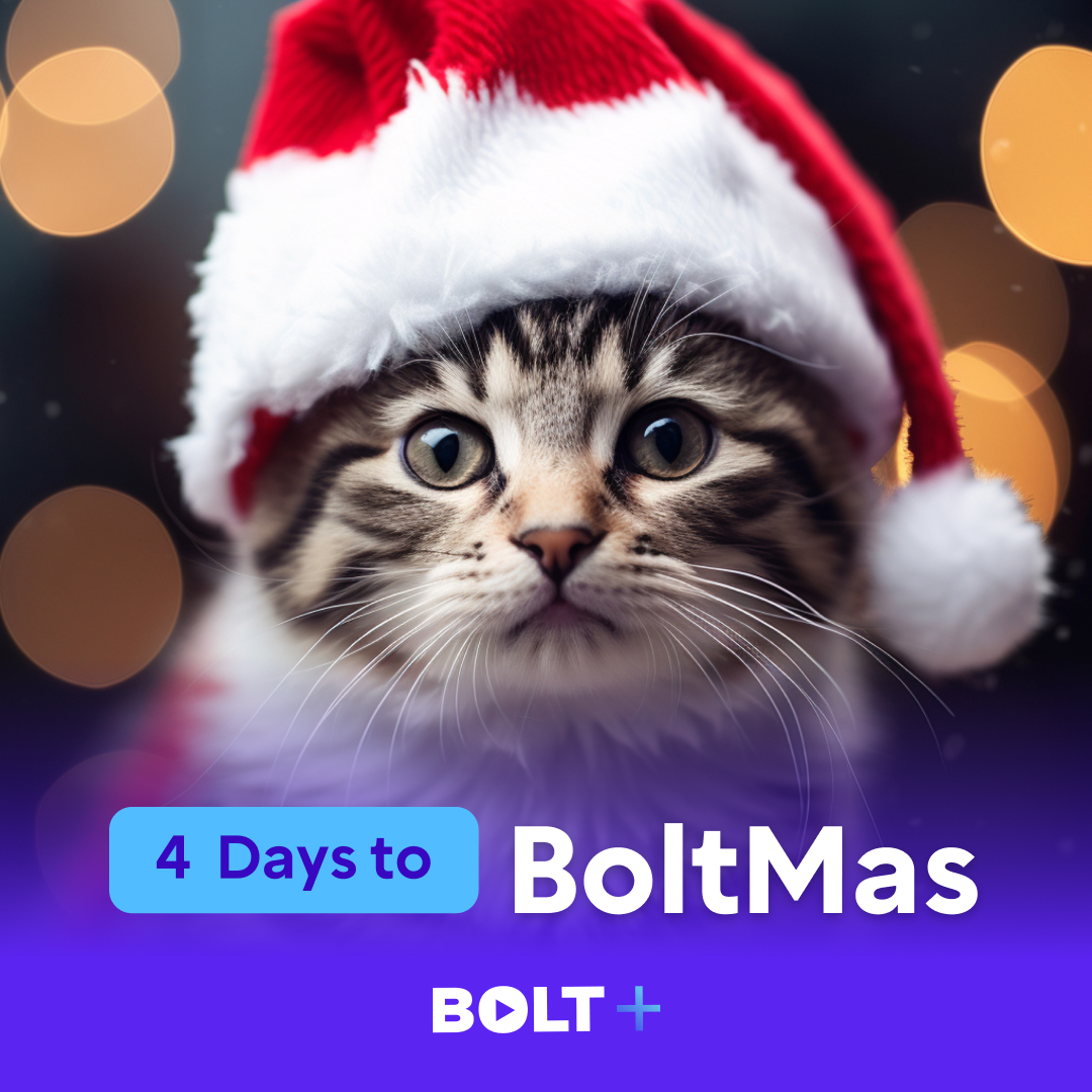 boltplus's tweet photo. ❄️Day 9 of #Boltmas 

👀Today's theme...
🐈Dress your pet up for Christmas!🐕

🔗Make sure to post it on https://t.co/r7SN5xj9zc home page and on the BoltOS Discord with either a link or a screenshot of the post and you will get a spot on the Wheel of Names to stand a chance at winning one of the 12 daily prizes!

💫Link to the Discord channel to share your post - https://t.co/9OWJIfw30e

❄️Good luck and most importantly, have fun!