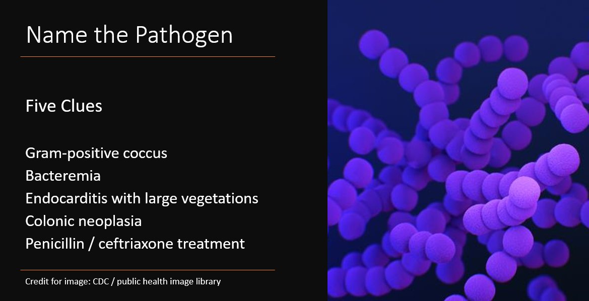 Mayo Clinic Infectious Diseases tweet media