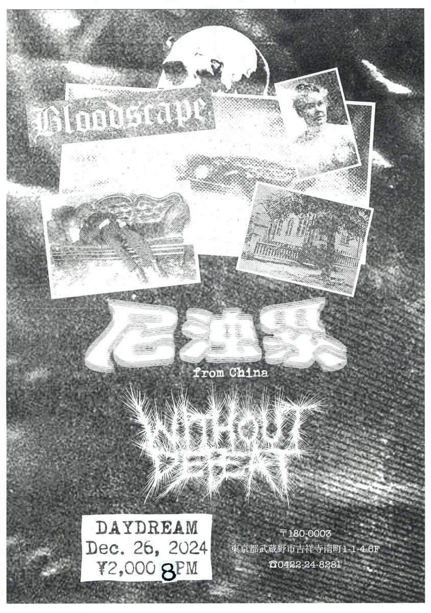 WITHOUT DEFEAT tweet media