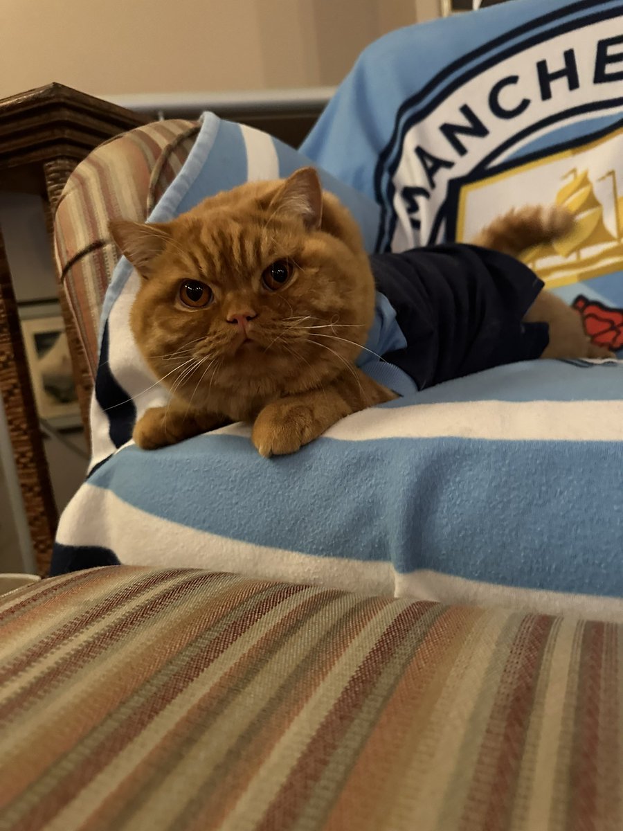 ArchieFaybepuff's tweet photo. Let's Go Lads!!!!! #myplmorning https://t.co/gZEzPKhqoD