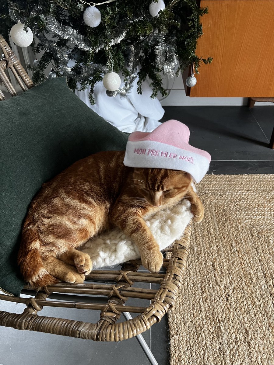 ❄️Vakansoù mat tout an dud ha gouelioù laouen deoc’h ! ❄️ 
Ya ! Hunvranl a ran gwellout erc’h er Mor-Bihan… ☃️