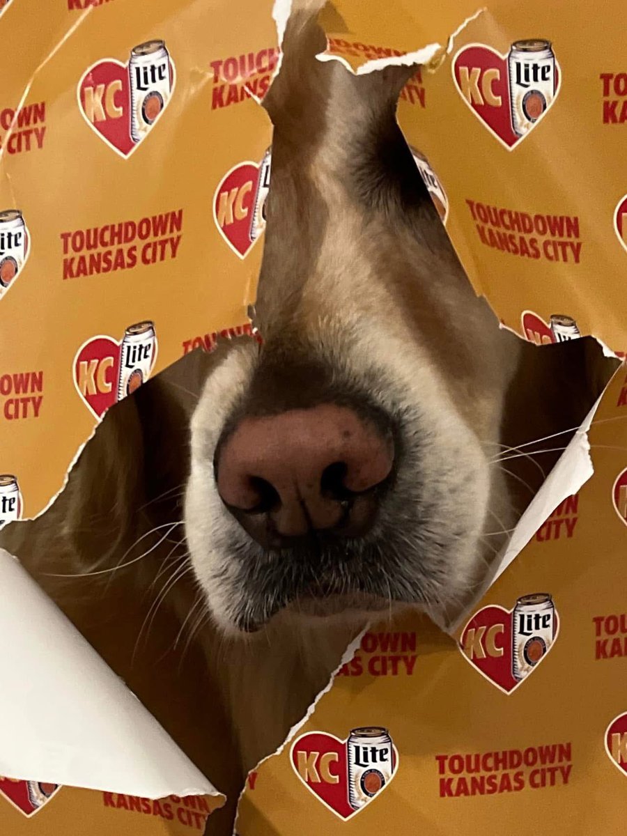 ServiceRudy's tweet photo. @Chiefs @MillerLite @GEHAField @ArrowheadPride https://t.co/F4ltRMArfo