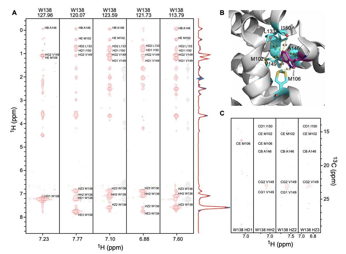 Biology+AI Daily (@biologyaidaily) on Twitter photo A combined NMR and deep neural network approach for enhancing the spectral resolution of aromatic side chains in proteins <a href="/ScienceAdvances/">Science Advances</a>
1. This study introduces FID-Net-2, a deep neural network designed to enhance the spectral resolution of aromatic side chains in proteins A combined NMR and deep neural network approach for enhancing the spectral resolution of aromatic side chains in proteins <a href="/ScienceAdvances/">Science Advances</a>
1. This study introduces FID-Net-2, a deep neural network designed to enhance the spectral resolution of aromatic side chains in proteins