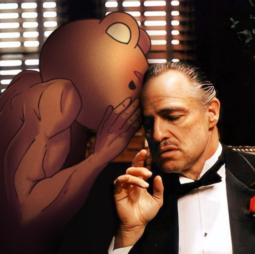 BITCOIN•BRO•BEAR | $BRO 🐻 tweet media