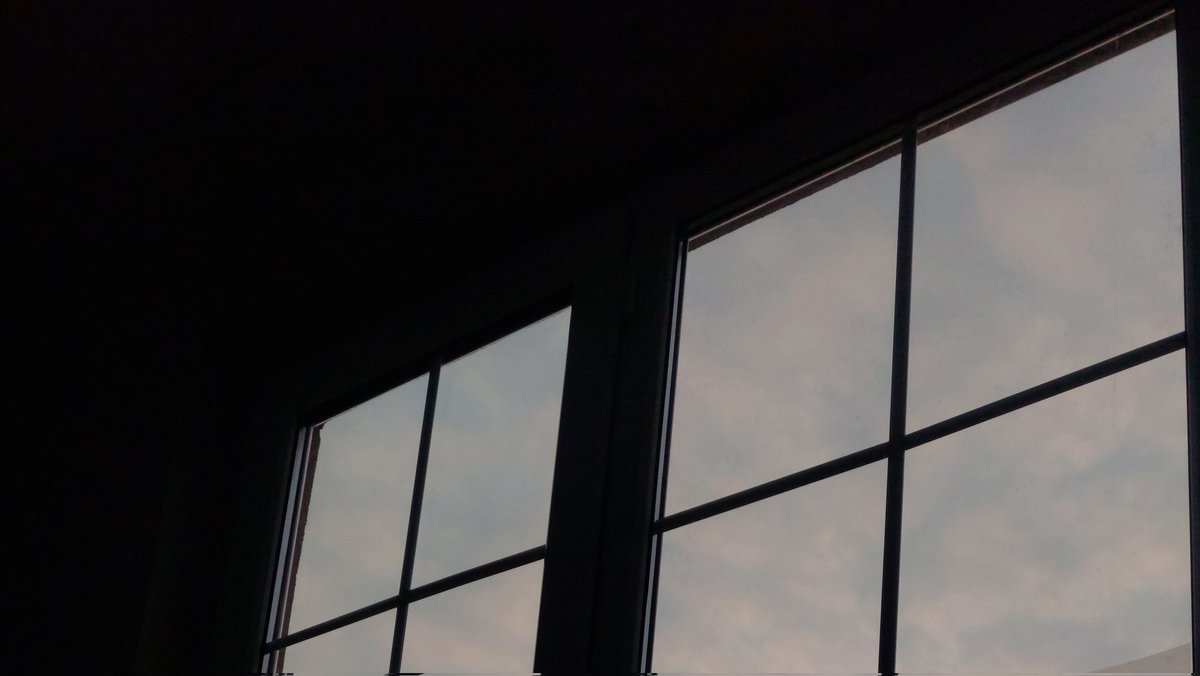 mim_typing's tweet image. بال کوبیدن به دیوارِ قفس پَرواز نیست.