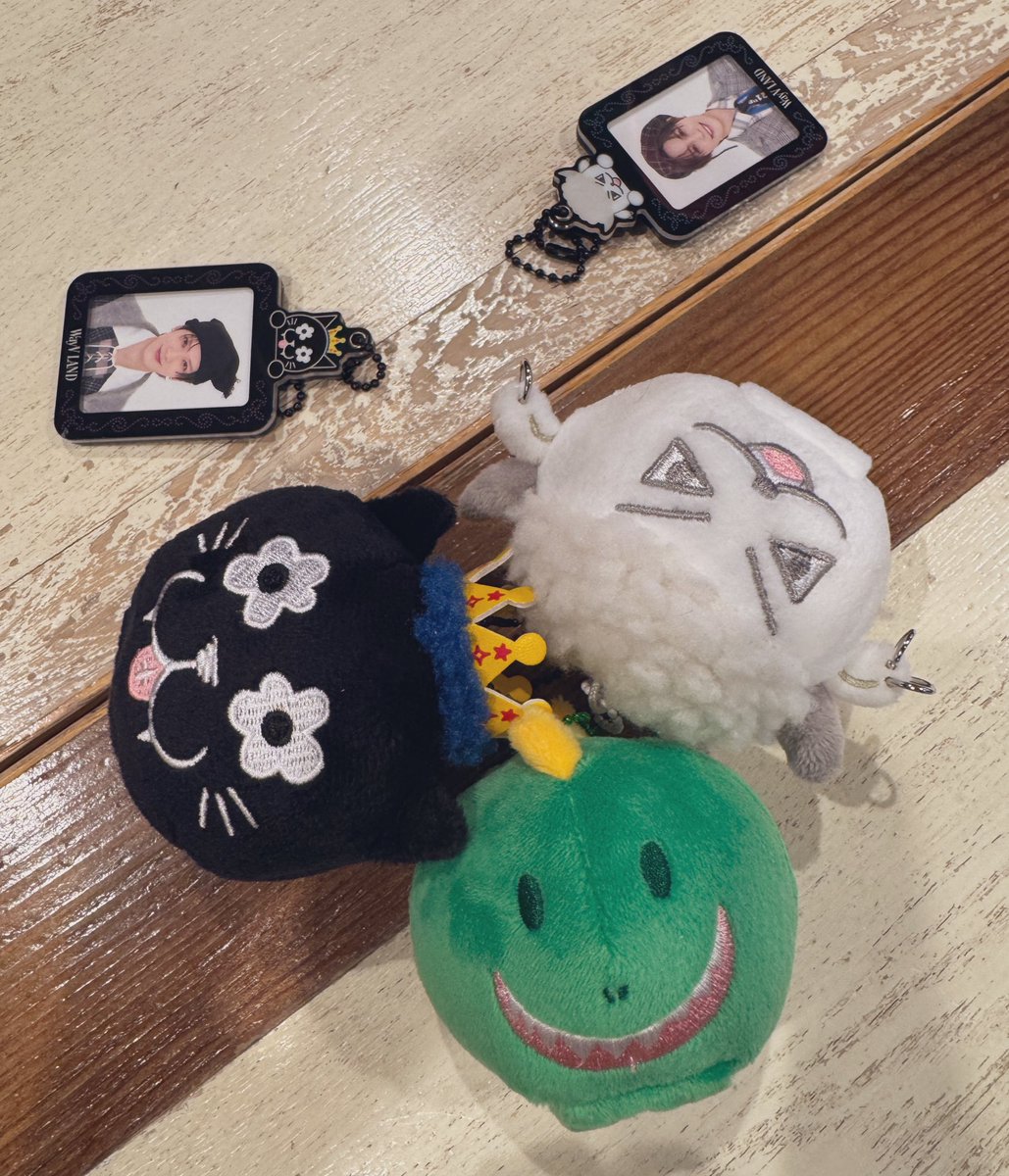 nyam_nct127's tweet photo. ぬいちゃんたち💖
(胴体付きの公式ぬいちゃん待ってます)

#WayV #威神V 
#WayV_LAND #WayVLAND #WayZenNi_JAPAN https://t.co/t1qjPYS9ze