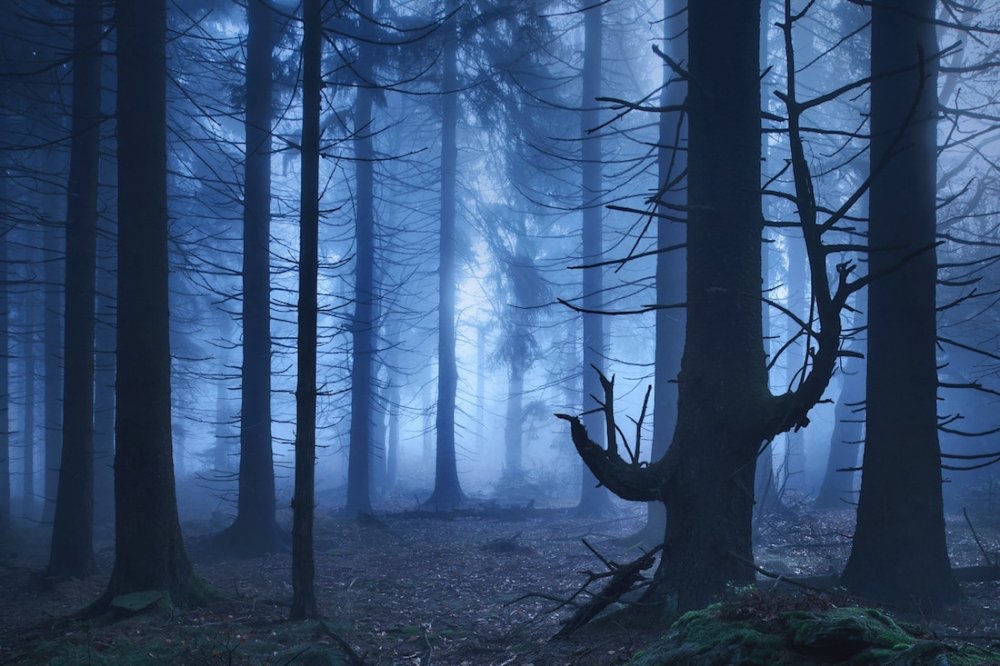 “Still, winter is an abstract season: it is low on colors… and big on the imperatives of cold and brief daylight… If this season doesn't necessarily quell your nerves, it still subordinates them to your instincts; beauty at low temperatures is beauty.”

 - Joseph Brodsky