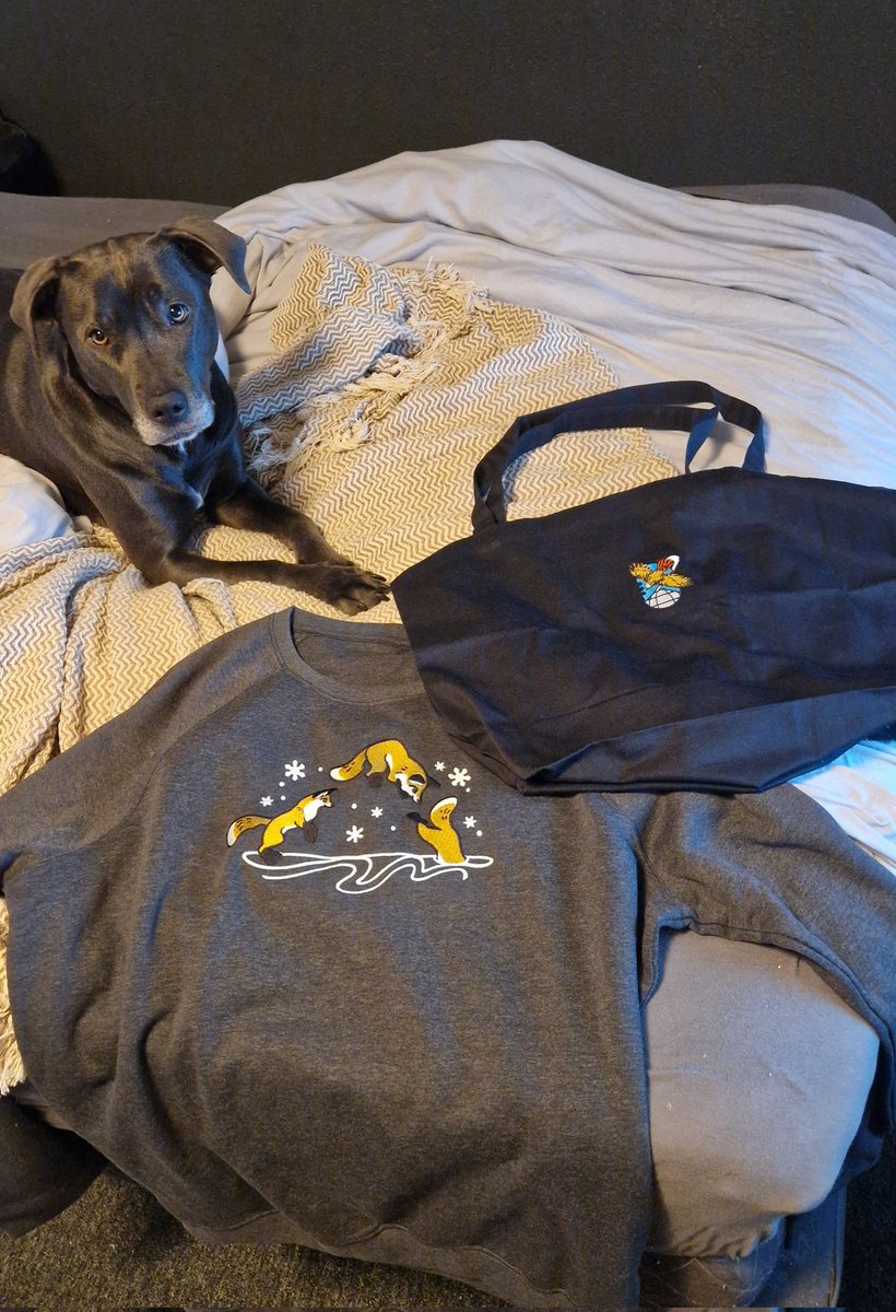 Soo excited!! I received my Reed Sweatshirt and Tote Bag from <a href="/AlveusSanctuary/">Alveus Sanctuary</a> 🫶🏻🦊 Now waiting for my 2025 calendar!🤍

Added to the collection😌 (I already owe an Alveus Sweatshirt and an Awa and Timber t-shirt)