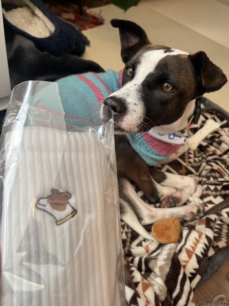 いちの先生 <a href="/chim_orimos/">いちの🌸コミックス10/30発売</a> がなんとプケ柄の刺繍靴下を作ってくれた……😭うれしすぎわ、かわいすぎ。プケこれは盗まないでよ