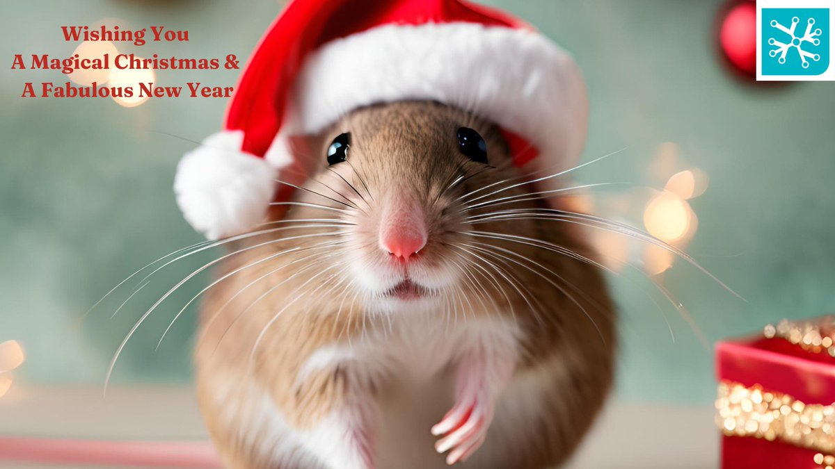 phenosys's tweet photo. Happy Holidays from PhenoSys! 🎄🌟

2024 has been an incredible year, and we’re grateful for the support of our amazing clients, partners, and team. 🙏
Wishing you peace, joy, and success in 2025! 🎉

Merry Christmas &amp; Happy New Year!  
#MerryChristmas #NewYear2025 https://t.co/cTmRmMACbE