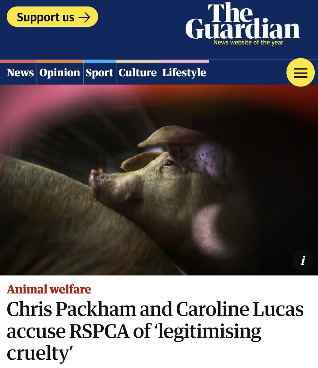 🚨 <a href="/guardian/">The Guardian</a> reports on <a href="/ChrisGPackham/">Chris Packham</a>
and <a href="/CarolineLucas/">Caroline Lucas</a>' resignation from <a href="/RSPCA_official/">RSPCA (England & Wales)</a> following our shocking exposé into <a href="/rspcaassured/">RSPCA Assured</a> farms and slaughterhouses #EndRSPCAAssured  #RSPCA