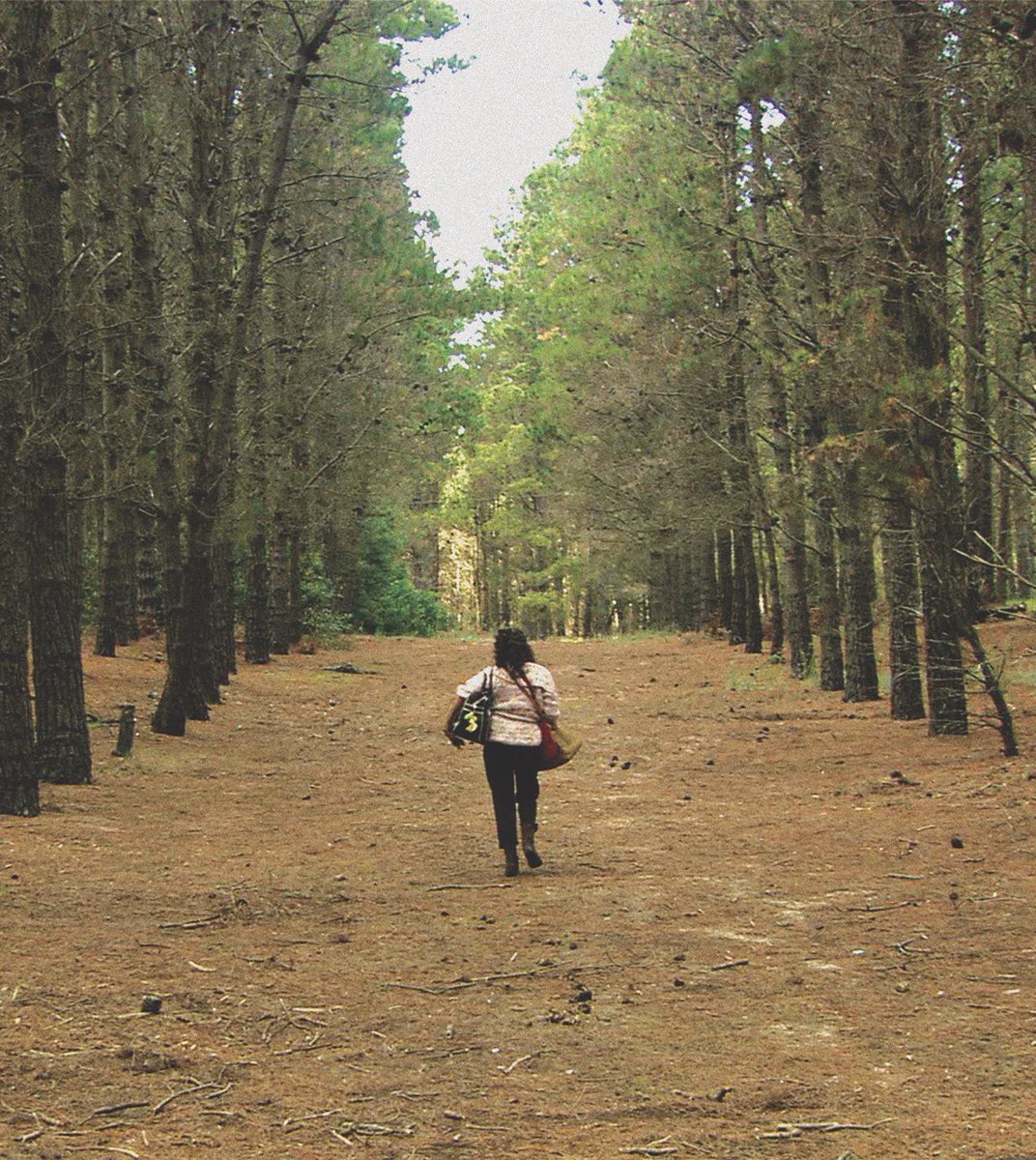 HOY
“Una novia errante” (2007, 35 mm)
<a href="/museomalba/">MALBA</a> 22 hs
Nos vemos ahí ❤️