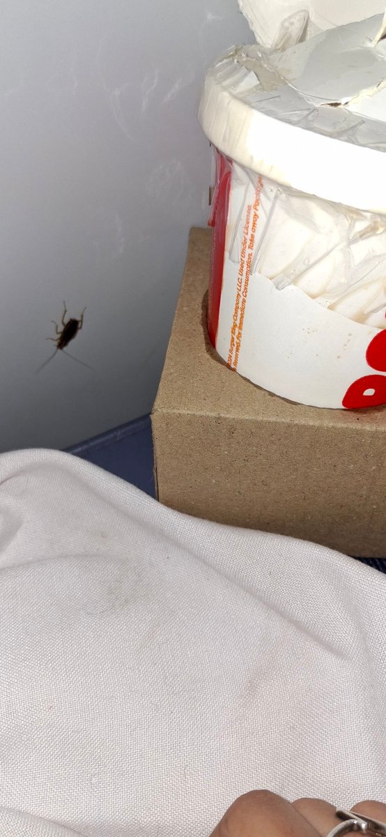 Ms. Shubha tweet media