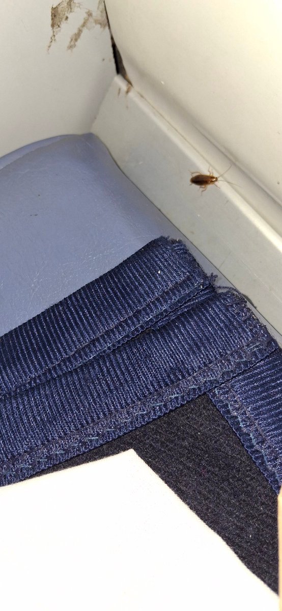 Ms. Shubha tweet media