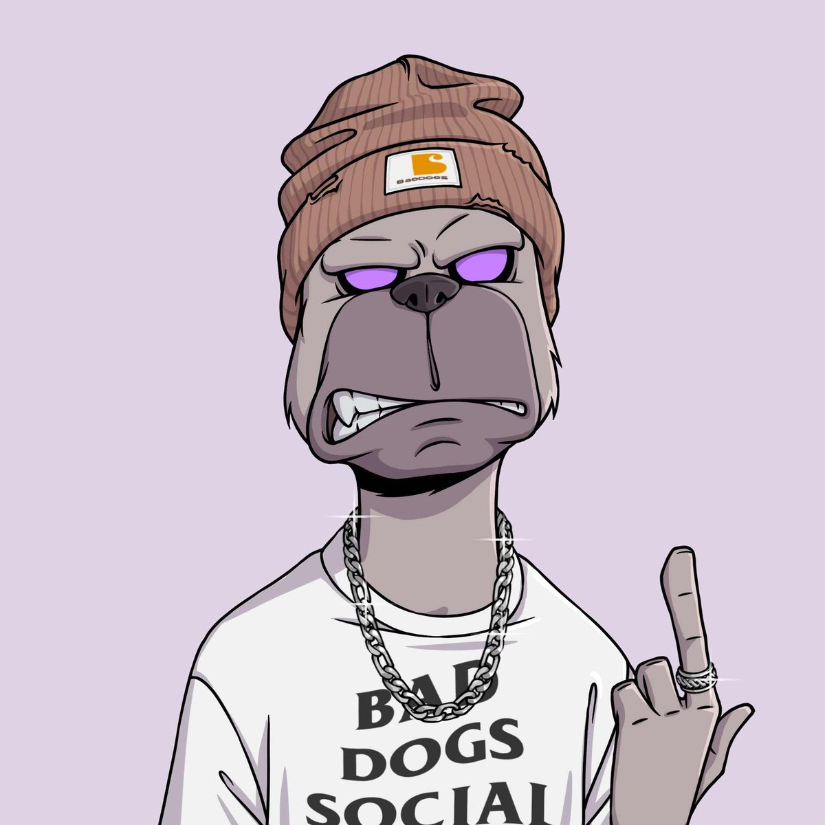 Bad Dogs Company tweet media