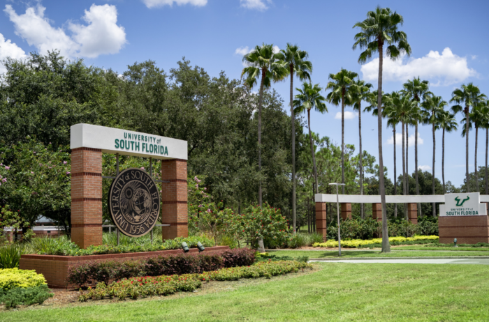 USFResearch's tweet photo. The Faculty Honors program at University of South Florida has created a space for faculty members to flourish through a strong culture of recognition, collaboration, support and mentorship. https://t.co/UjDQyEAH70 #USFFaculty #FacultyDevelopment #RecognitionMatters ππ https://t.co/FGROr8i6E8