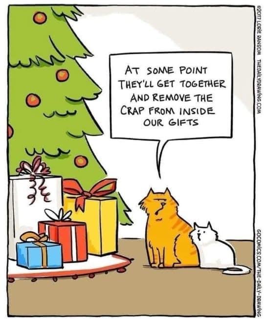Christmas according to the Cats