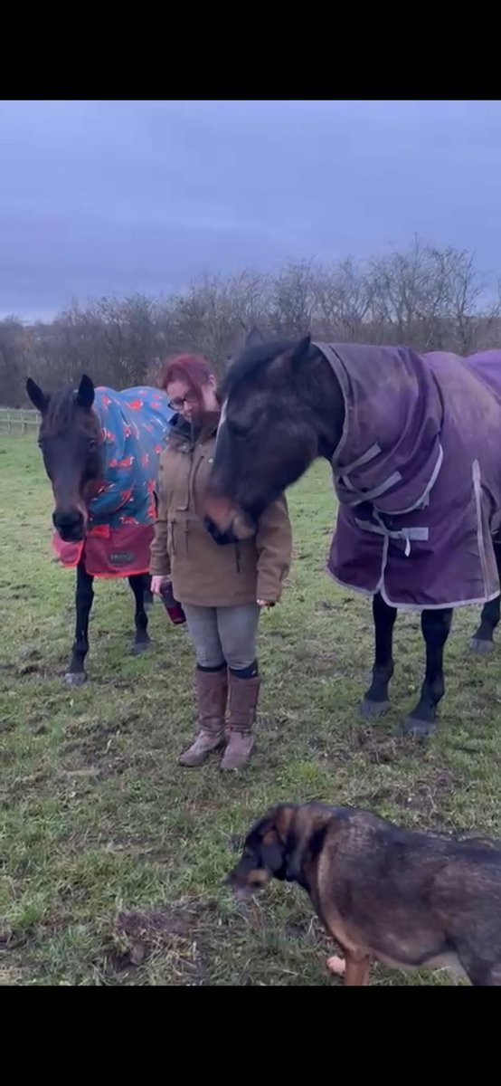 historical_kate's tweet photo. A very happy winter solstice from me and my creatures. I am looking forward to brighter days ahead. #WinterSolstice2024 #returnofthelight #horses #mud #warwickshire https://t.co/H4uz15uVLr