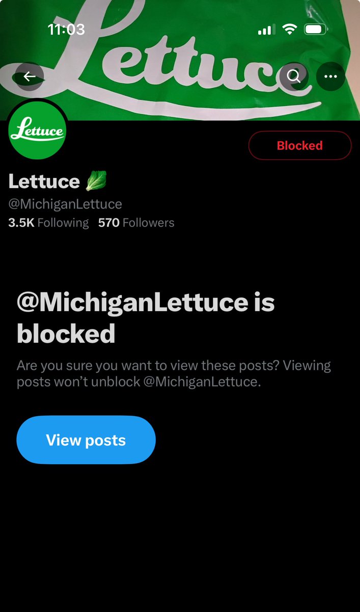 jmo22966085's tweet photo. Hey, just so everyone knows this guy is @bogseeds total scammer who scammed my friend #THCfunkfarm he’s at it again. He has just changed the information and the look of his account. It’s the same account because I blocked bog seeds and when I go to look at tht account , this account comes up so if you wanna know and keep track, what this fucker is doing keep track of this new account “lettuce” block his ass. He’s scamming people asking them for money to pay for his friends surgery. don’t fall for it. Lets clean this space and keep it clean